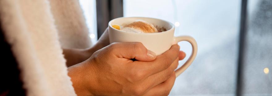 el cuarto de atrás libros por vivir