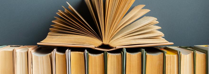 tag del libro libros por vivir